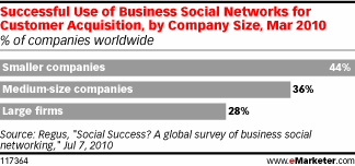 Successful Use of Business Social Networks for Customer Acquisition, by Company Size, Mar 2010 (% of companies worldwide)